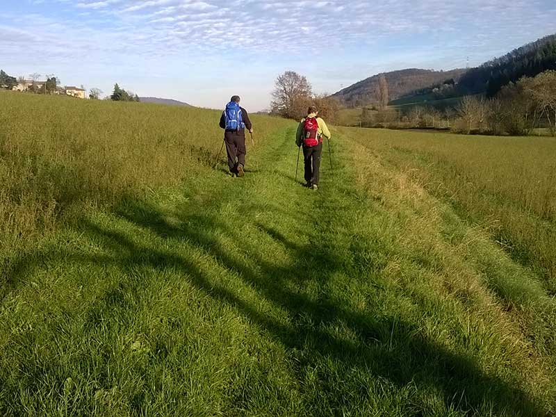 33 - Via della Lana e della Seta: settimana tappa