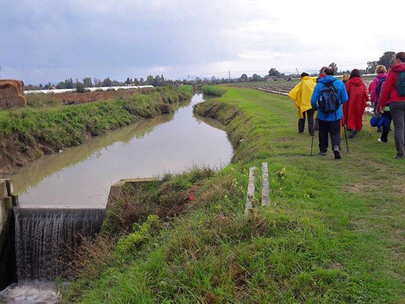 11 - I sentieri dell'acqua a Granarolo dell'Emilia EVENTO ANNULLATO CAUSA MALTEMPO