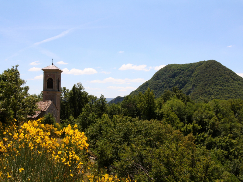 5 - Via Francesca della Sambuca: Vergato - Montovolo - Riola