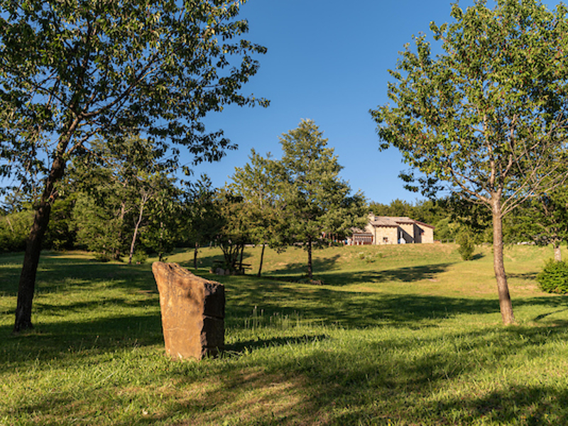 9 - Alpe di Monghidoro