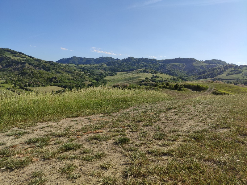 5 - Sulle colline di Varignana ANNULLATA