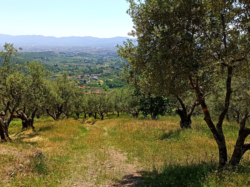 3 - Via Francesca della Sambuca - 2^ tappa