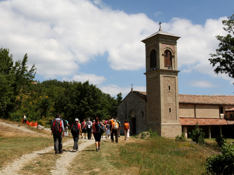 20 - Il Sinai bolognese