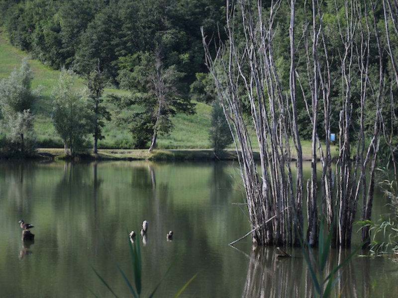 34 - Il lago sul crinale