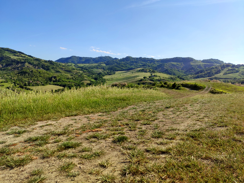 26 - Le colline di Varignana