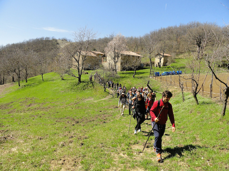 40 - Da Pioppe di Salvaro a Pian di Venola