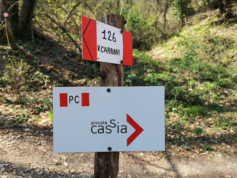 15 - Piccola Cassia 2