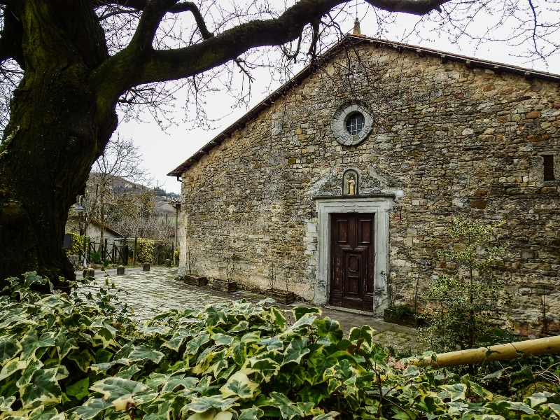 21 - I tesori del Reno: quinta tappa