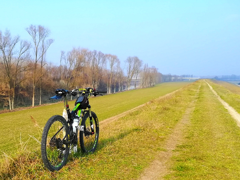 2 - In bici lungo il Reno all'A.R.E. Bisana