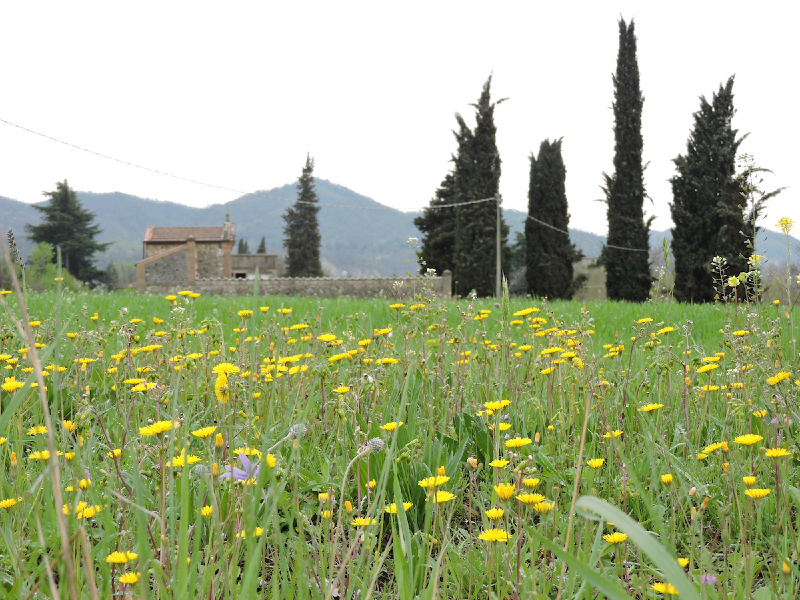 15 - Via della Lana e della Seta: seconda tappa