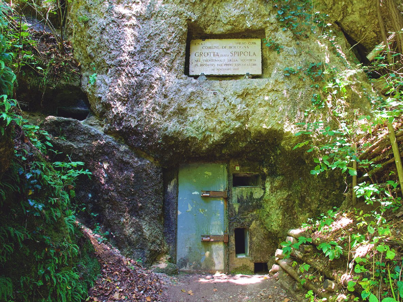 37 - La Madonna dei Boschi e i Gessi