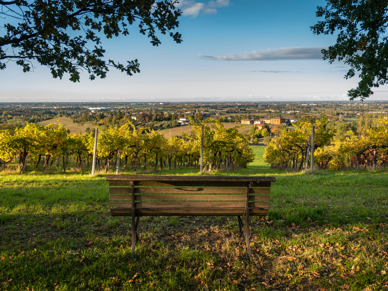 31 - Via dei Brentatori: prima tappa