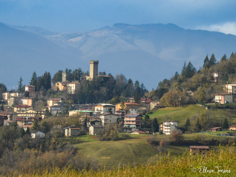 1 - Sulla Linea Gotica: Castel d'Aiano - Montese e ritorno