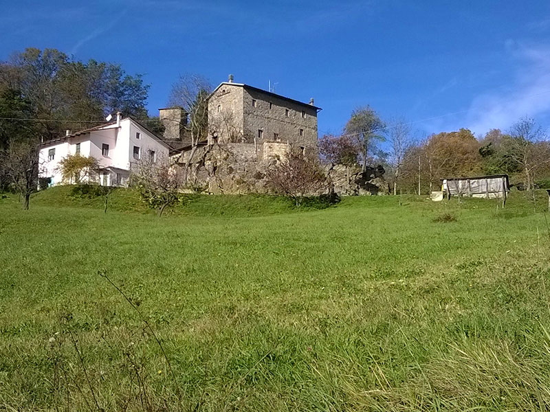 19 - I tesori del Reno: quarta tappa