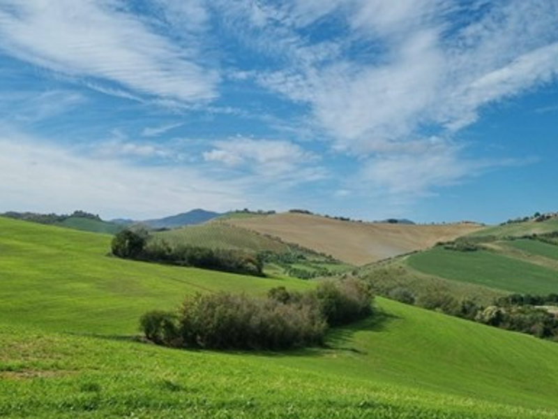 31 - Sulle colline di Dozza
