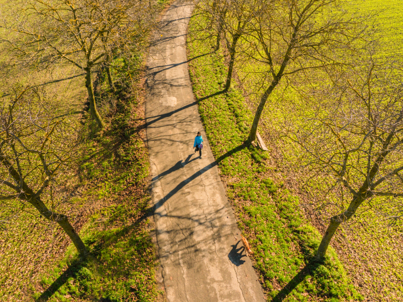 1 - Il sentiero ritrovato 1