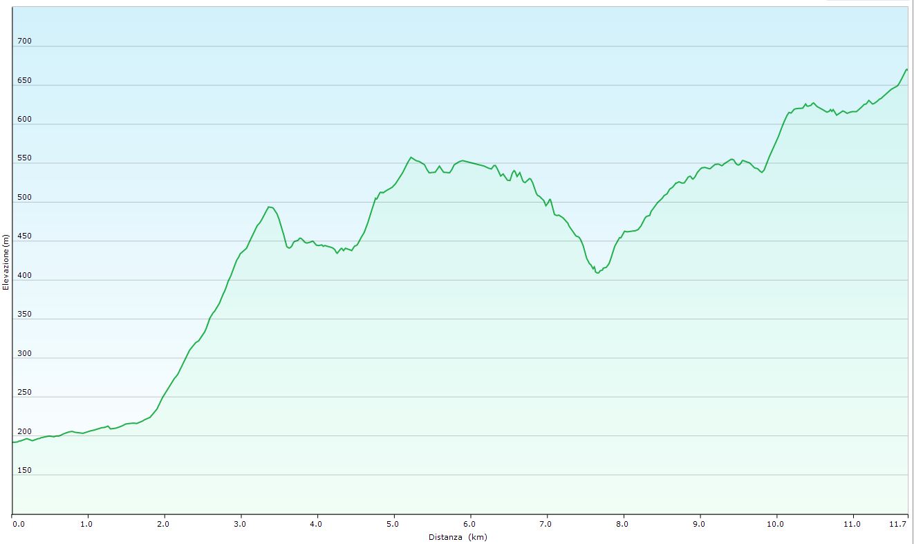 Altimetria escursione Vergato-Finocchia-Rocca di Roffeno
